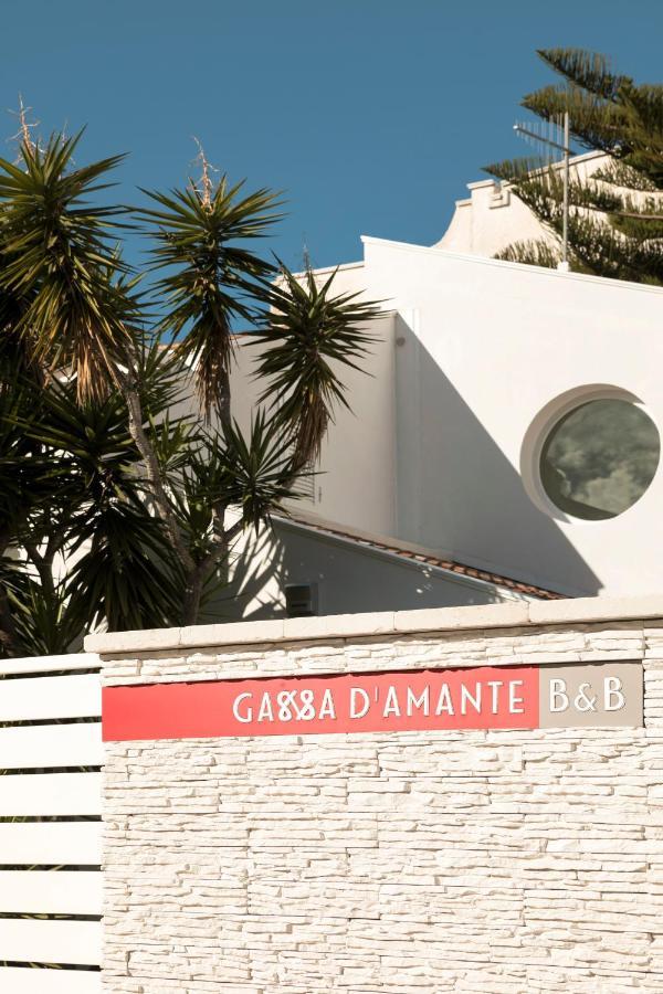 B&B Gassa D'Amante Vieste Exterior photo